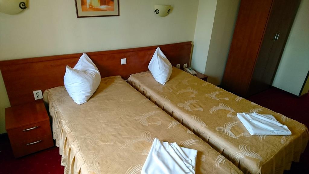 Hotel Pui De Urs Bükreş Dış mekan fotoğraf