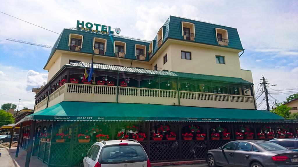 Hotel Pui De Urs Bükreş Dış mekan fotoğraf